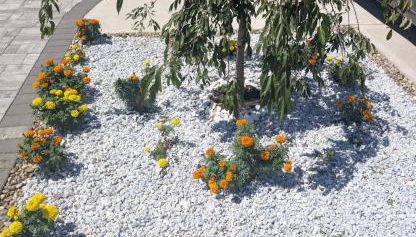 Modern Comfort - Minimal Style - Photo 2