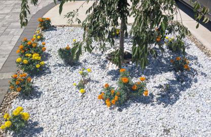 Modern Comfort - Minimal Style - Photo 2