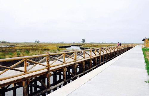 Casa da Ribeira - Foto 31