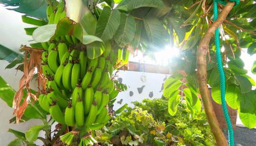 Jardín del mar - Foto 5