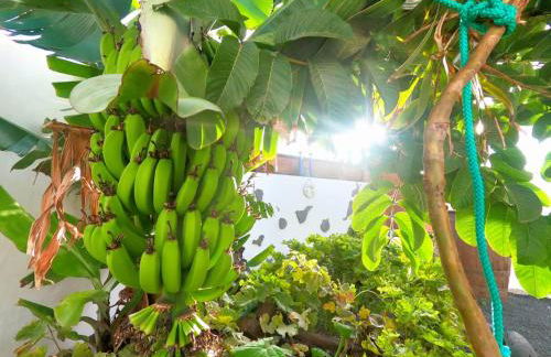 Jardín del mar - Photo 13