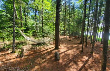 Luxury Lakefront 4 BDR, 10 Beds, 4 Bath - Foto 55