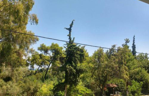 Pine Breeze Apartment - Foto 14