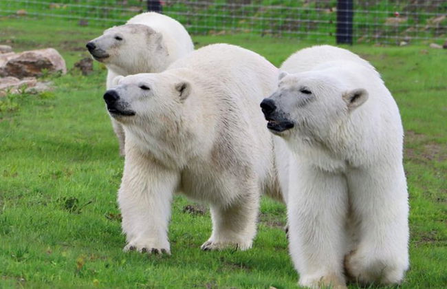 2 Bed Barn Alton Towers Xmas Markets Chatsworth - Foto 11