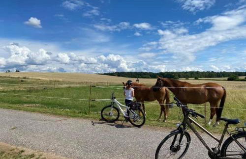Hof Türke - Foto 41