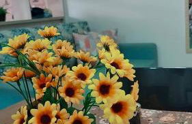 Flat Getsêmani Olímpia a 10min do Thermas dos Laranjais - Foto 25