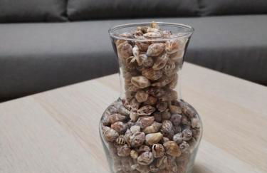 Appartamento L'Ulivo - Foto 22