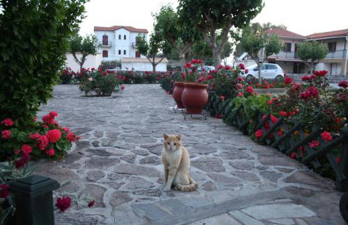 Villa Vicky - Foto 41