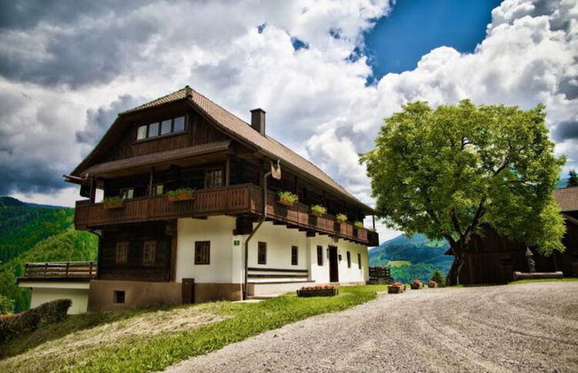 Farmhouse in Carinthia Near Afritzer See - Foto 18