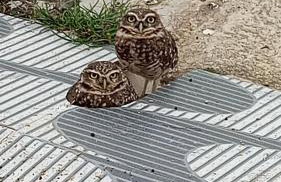 Casa bem te vi - Foto 31