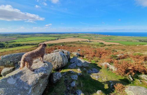 2 Bed in Penzance oc-36733 - Foto 7