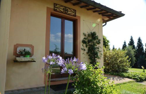 AGRIFOGLIO - Photo 28