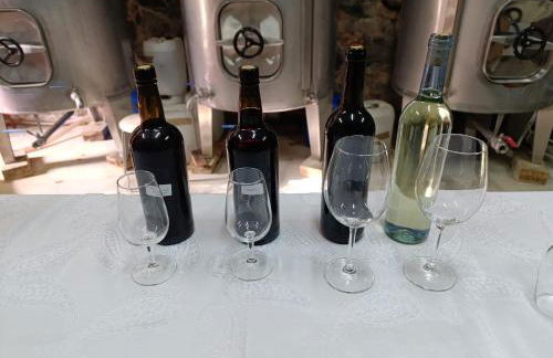 Cosy Historical House in Lamego - Quinta do Cabo - Foto 56