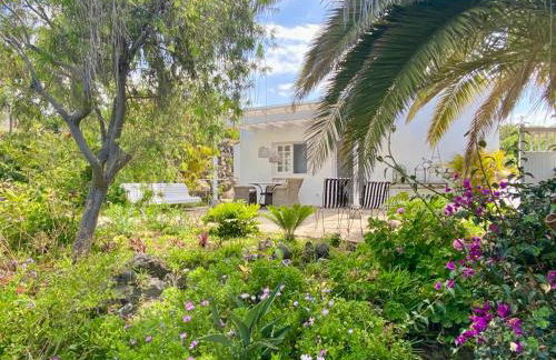 Casa Boticaria, bonito Paraíso Privado con jardín y Jacuzzi. - Foto 50