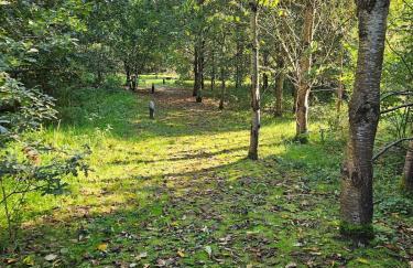 Oak Tree Lodge with Hot Tub near Alton Towers - Foto 13