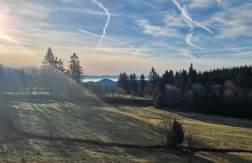 Appartements Les Vosges - Foto 65