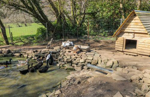 Coytrahen House - Foto 71