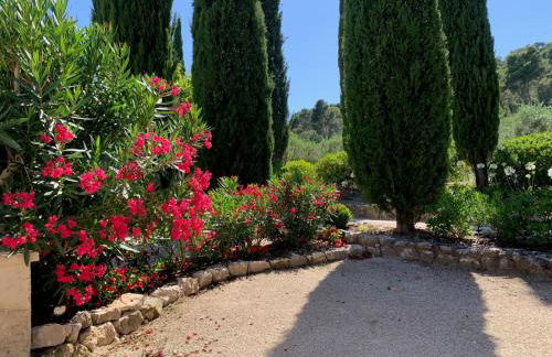 Le Domaine de l'Aiguille Alpilles, Eygalières, Saint Rémy de Provence - Foto 75