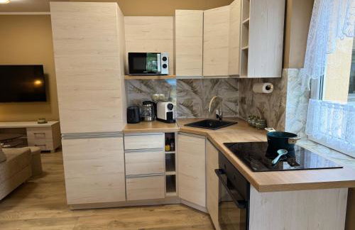 Olszyna Pod Brzozą - Foto 4