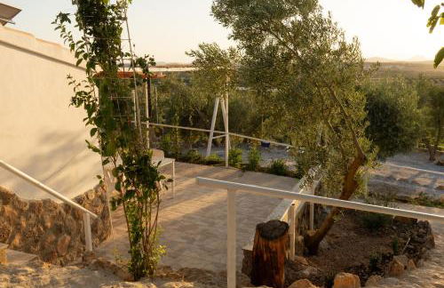 Hermosa Vista - Foto 19