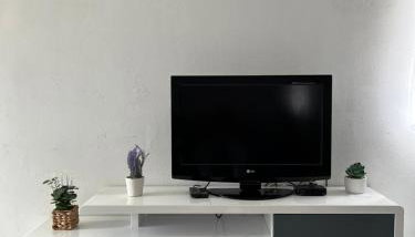 Apartments Despotović - Photo 4