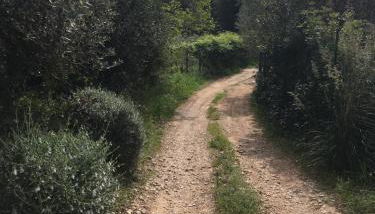 Cottage Pura Vigna immerso nella natura vicino al mare - Foto 3