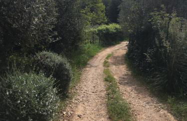 Cottage Pura Vigna immerso nella natura vicino al mare - Foto 3