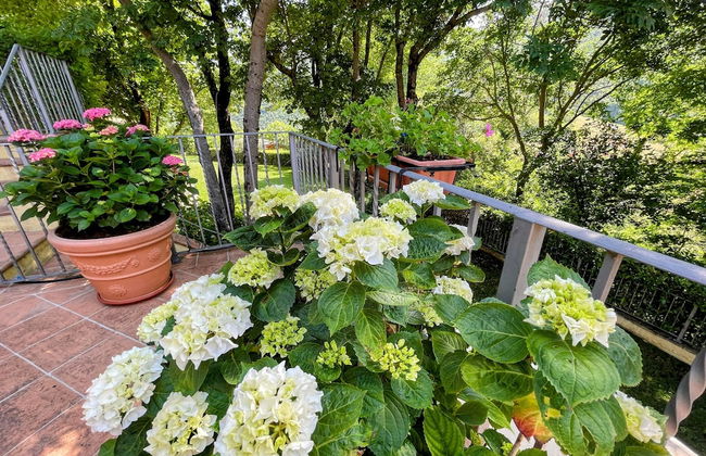 Serene Tuscan Retreat With Breathtaking Views - Foto 70