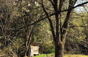 Eifelwolke - Foto 26