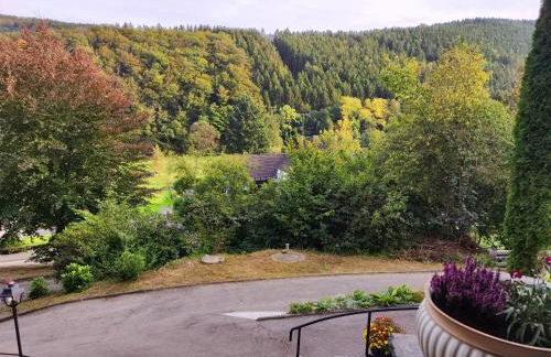 Wohlfühloase Eifelsteig - Foto 26