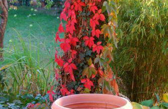 Apartment Erika - Foto 14