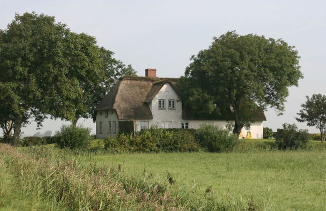 Poppenbull Thatched House - Foto 67