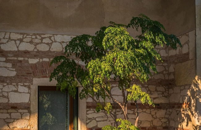 Tigli Apartment With two Bedrooms and one Bathroom on the Second Floor With 4 Metre Glass Window Apartment 6 - Foto 20