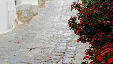 Hydra's Hidden Gem - Photo 3