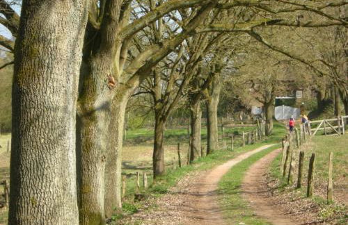 Tüschenbeker Mühle - Foto 22