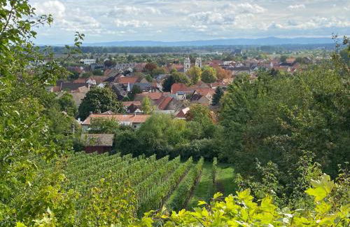 Ferienwohnungen Zum Alten Buchbinder - Foto 18