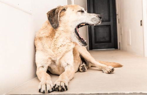 Masseria Prosperi - Photo 82