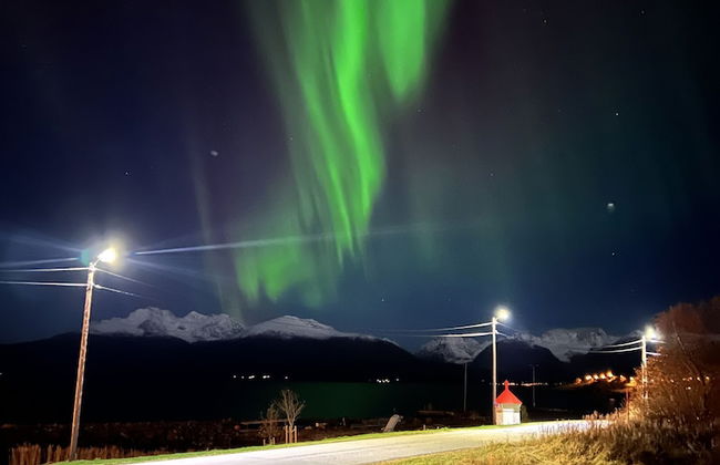 Alpan Apartments - Photo 53