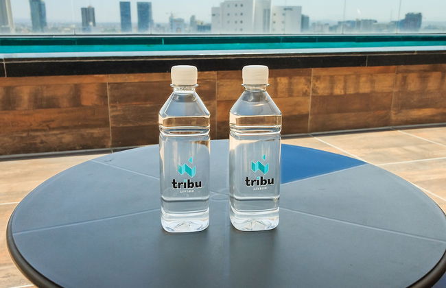 Tribu Sonata - Foto 28