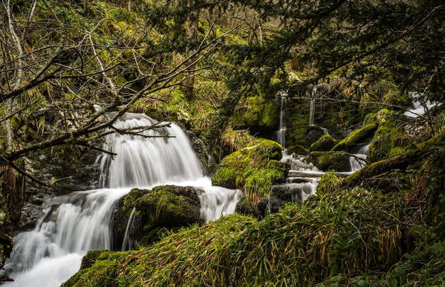 Eco dos Teixos - Foto 15