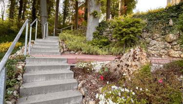 Traumferienwohnungen Georgenthal - Foto 4, Garden, Garden view