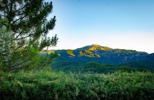 Casas Rurales Mirador del Mundo - Foto 24