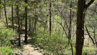 Secluded Lakeview retreat by Eureka Springs-CANOE - Foto 3