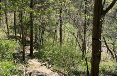 Secluded Lakeview retreat by Eureka Springs-CANOE - Foto 3