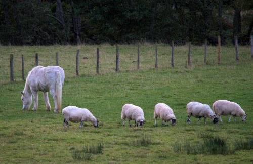 Rosemount Bothy - Highland Cottage - Foto 79