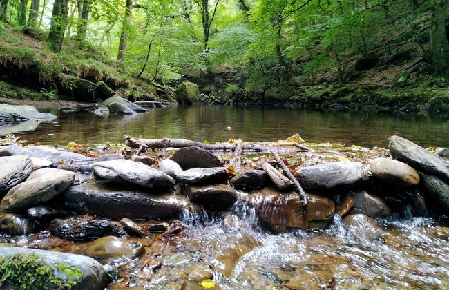 The Gallery Lodges - Foto 12