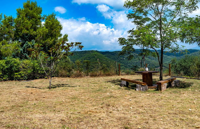 Ginesteres - Foto 33