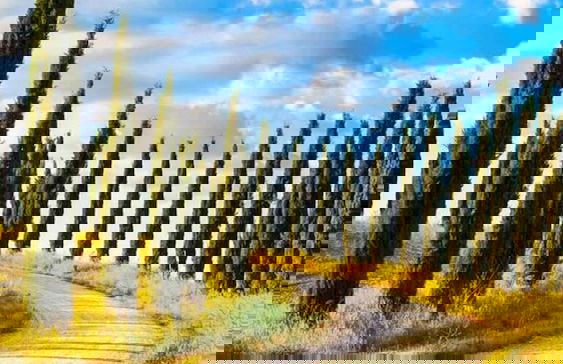 Beautiful Lux Apartment Chianti Firenze Area Italy - Photo 37