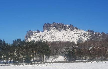 Pine cottage with private hot tub - Photo 24