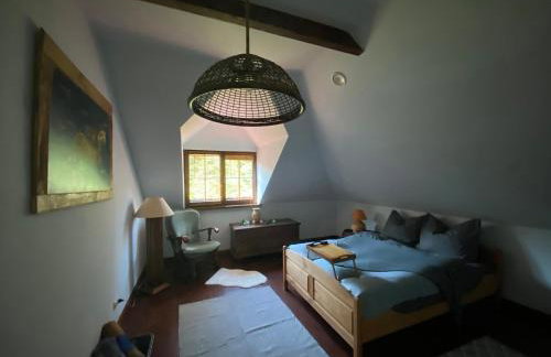 Szeroki Bór oaza w Puszczy z Sauną, Banią i Jacuzzi - Foto 34